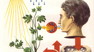 Illustration for article titled iBeing John Malkovich/i Is Better Now Than It Was in 1999
